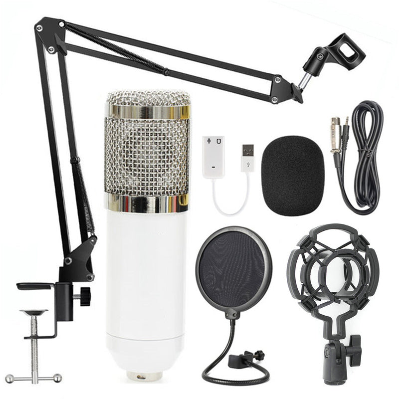 Professionele condensator microfoon set met verstelbare arm en toebehoren