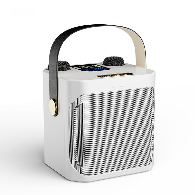 Draagbare Karaoke Speaker met 2 Microfoons - Stereo Geluid