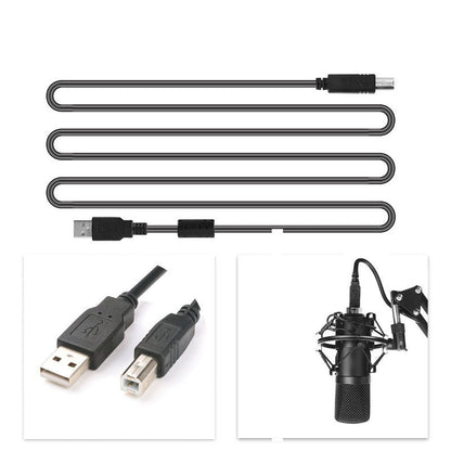 Condensator microfoon set met standaard en popfilter - Zwart metaal - 24-bit 192KHz