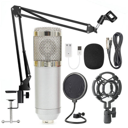 Professionele condensator microfoon set met verstelbare arm en toebehoren