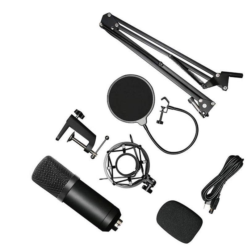 Condensator microfoon set met standaard en popfilter - Zwart metaal - 24-bit 192KHz