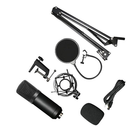 Condensator microfoon set met standaard en popfilter - Zwart metaal - 24-bit 192KHz