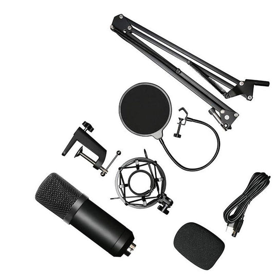 Condensator microfoon set met standaard en popfilter - Zwart metaal - 24-bit 192KHz
